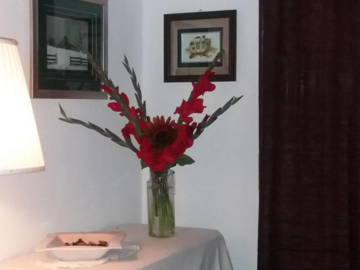 Casa Dragao Bed and Breakfast Porto Buitenkant foto