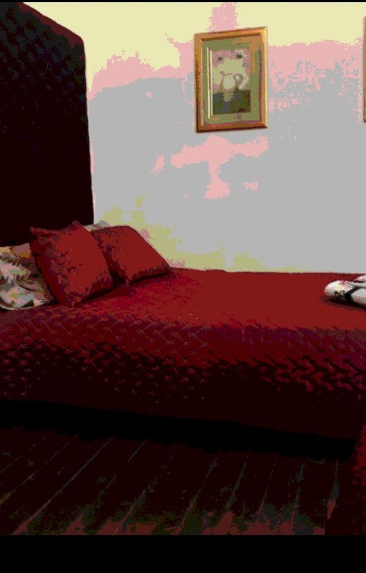 Casa Dragao Bed and Breakfast Porto Buitenkant foto